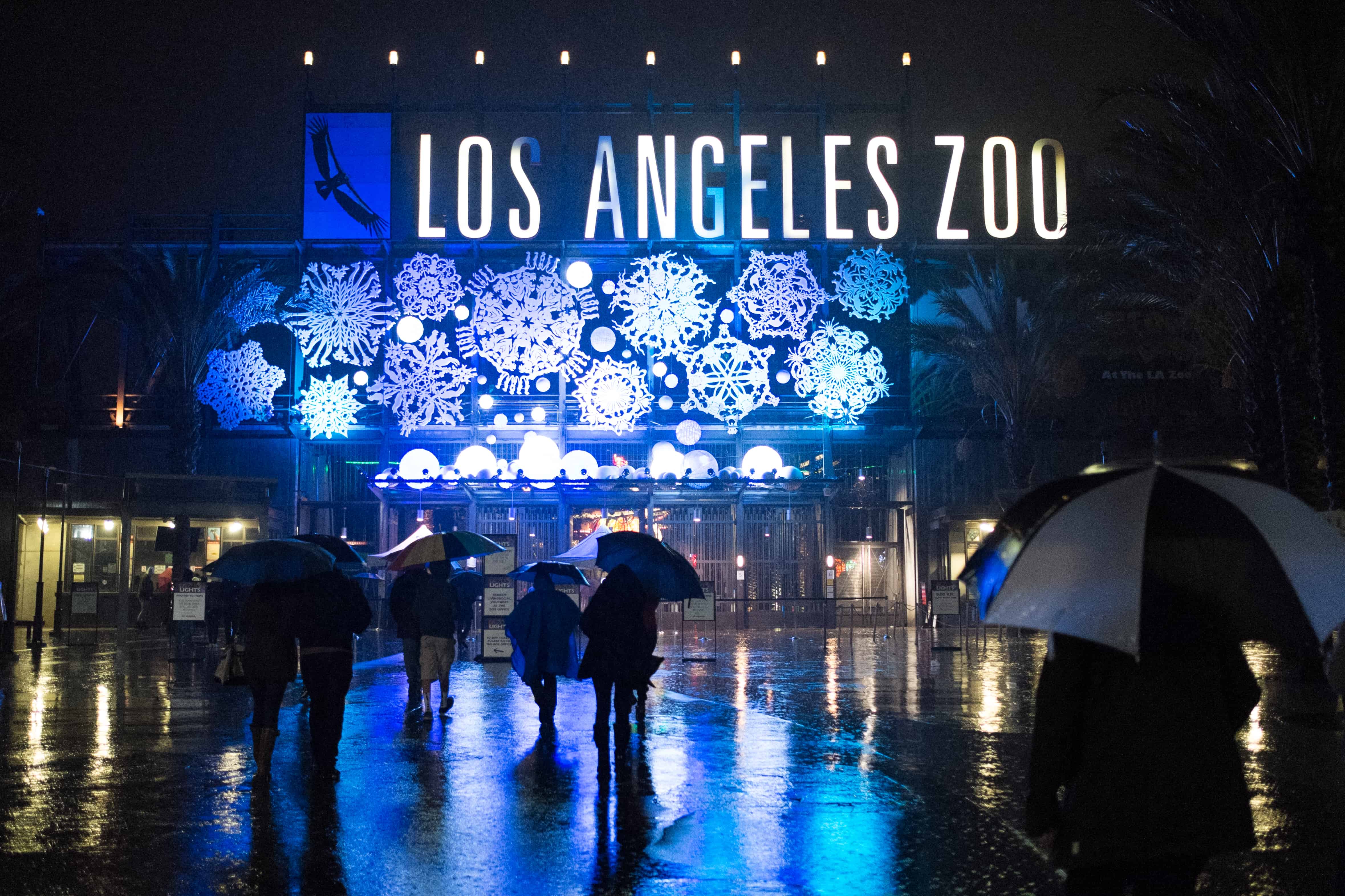 Week No. 22 LA Zoo Lights