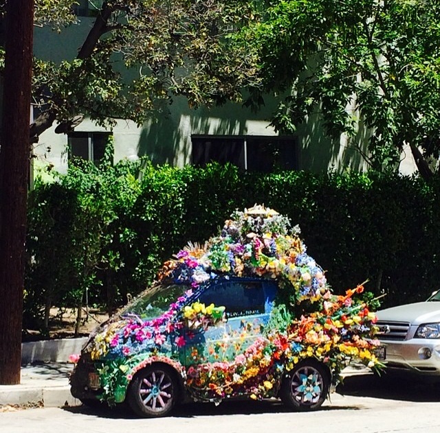 Only In LA Flower Smart Car