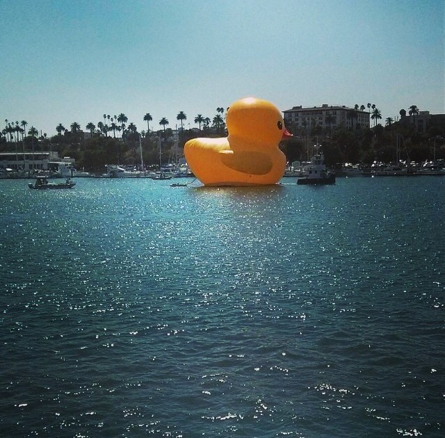 Only In LA Long Beach Port Rubber Ducky 