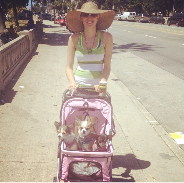 Only In LA Pups In A Stroller