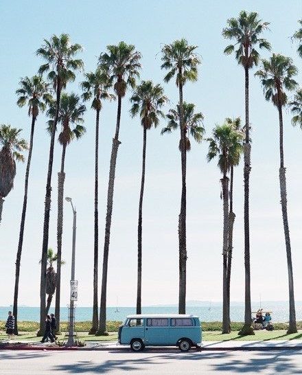 Santa Monica. Palm Trees. & A Good Ol’ Fashioned VW Bus.