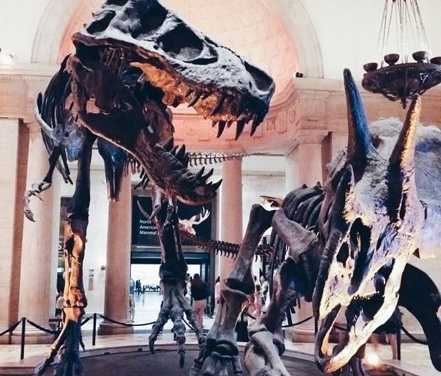 5 Things To Do In LA This Week: 10.6-10.12