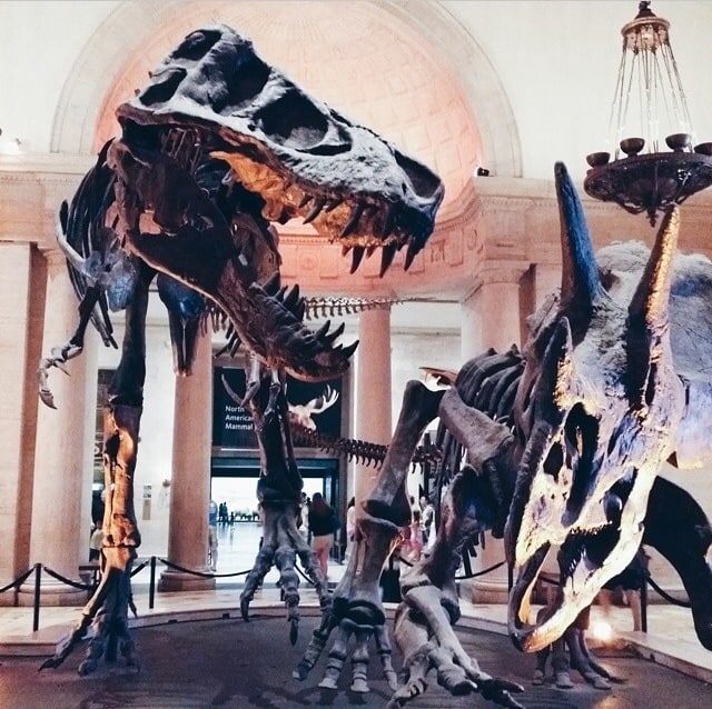 Natural History Museum LA