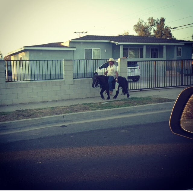 Only In LA: Mexican on a Pony