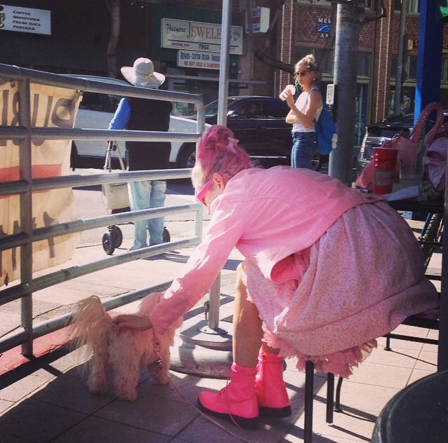 Only In LA: Pink Lady. Pink Dog.