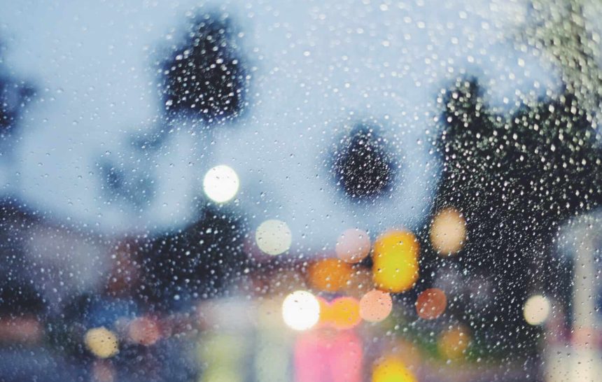 A Day In The Rain | The Angeleno Perspective