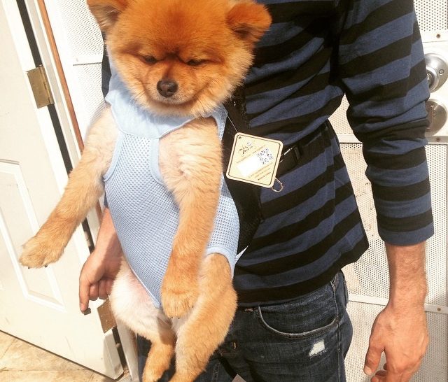 Only In LA. | February 2015