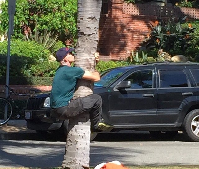 Only In LA. | March 2015