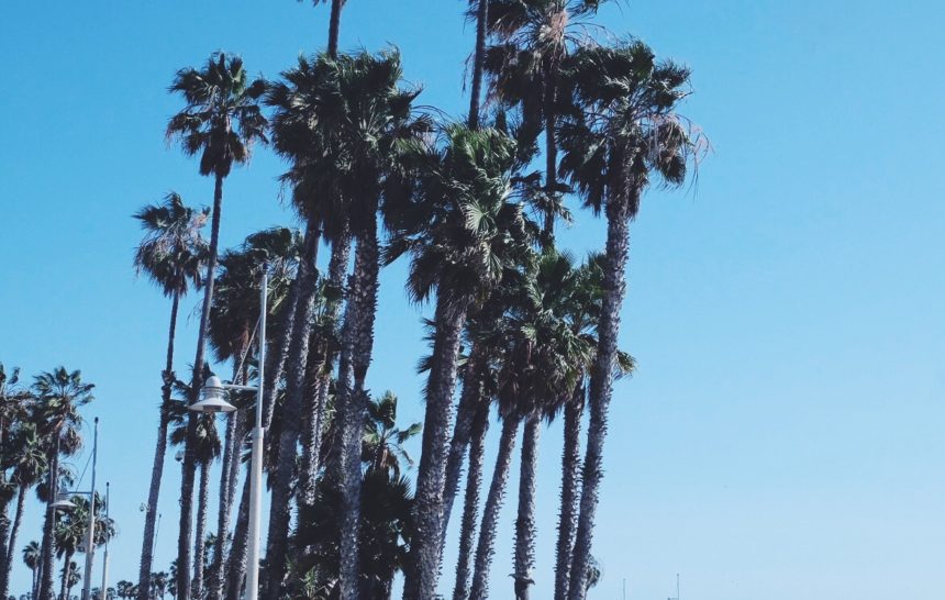 What Our Friends + Neighbors Were Talking About This Week.