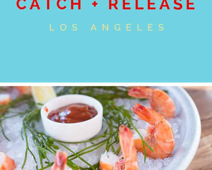 Catch & Release | Marina Del Rey