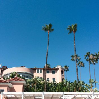 Week No. 6 | The Beverly Hills Hotel Visit