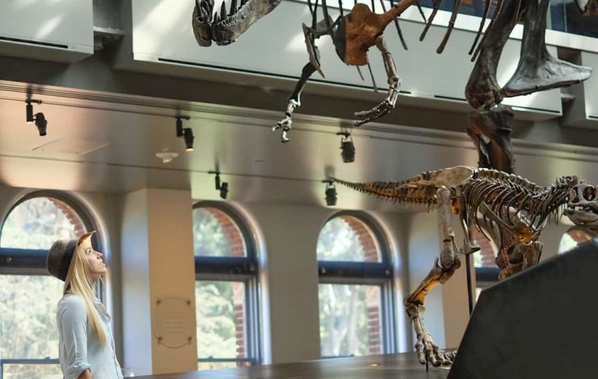 Week No. 8 | The Natural History Museum of Los Angeles