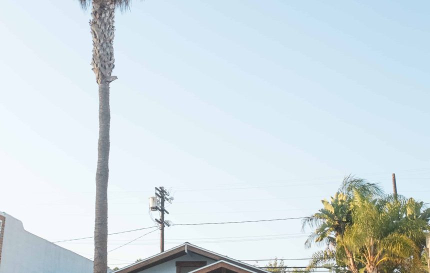 Week No. 10 | Abbot Kinney First Fridays