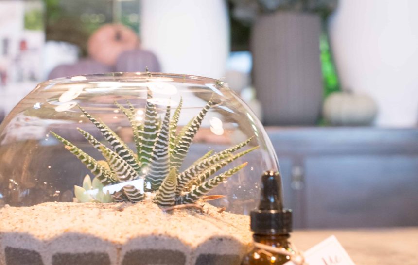 Week No. 15 | The Arrangement Bar at Rolling Greens