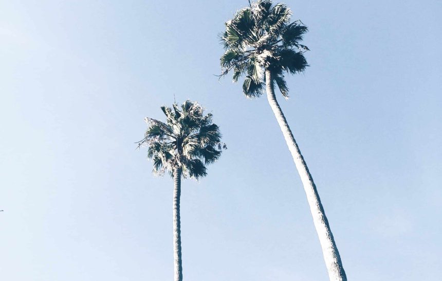 LOVE + LOATHING’S 2015 HIGHLIGHTS!