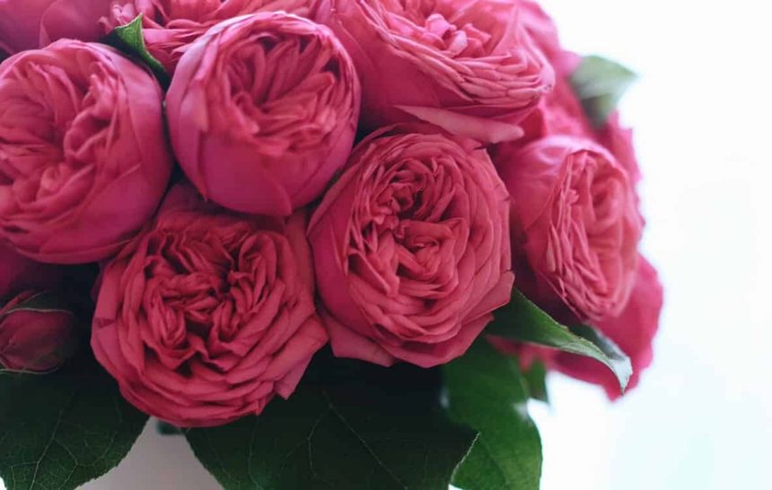 A DEFINITIVE GUIDE TO VALENTINE’S DAY IN LA