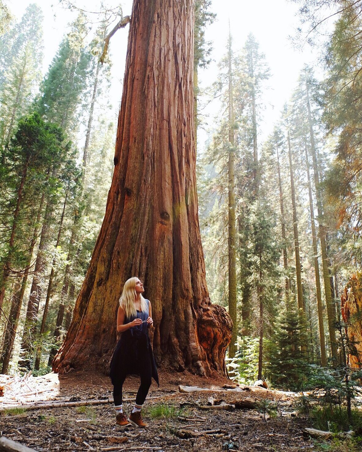 QUICK-TRIP GUIDE TO SEQUOIA NATIONAL PARK