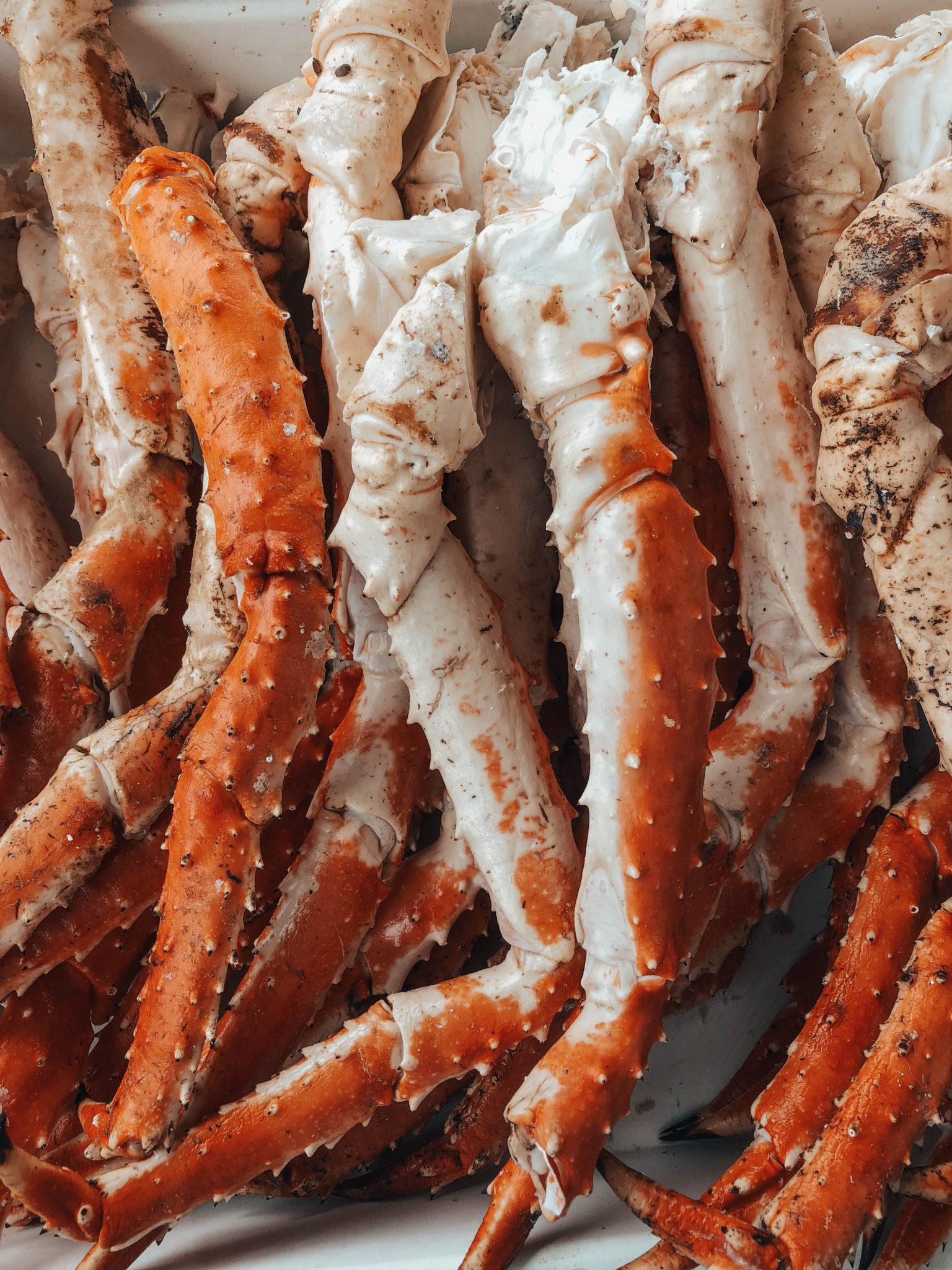 Alaskan King Crab | Alaskan photo diary