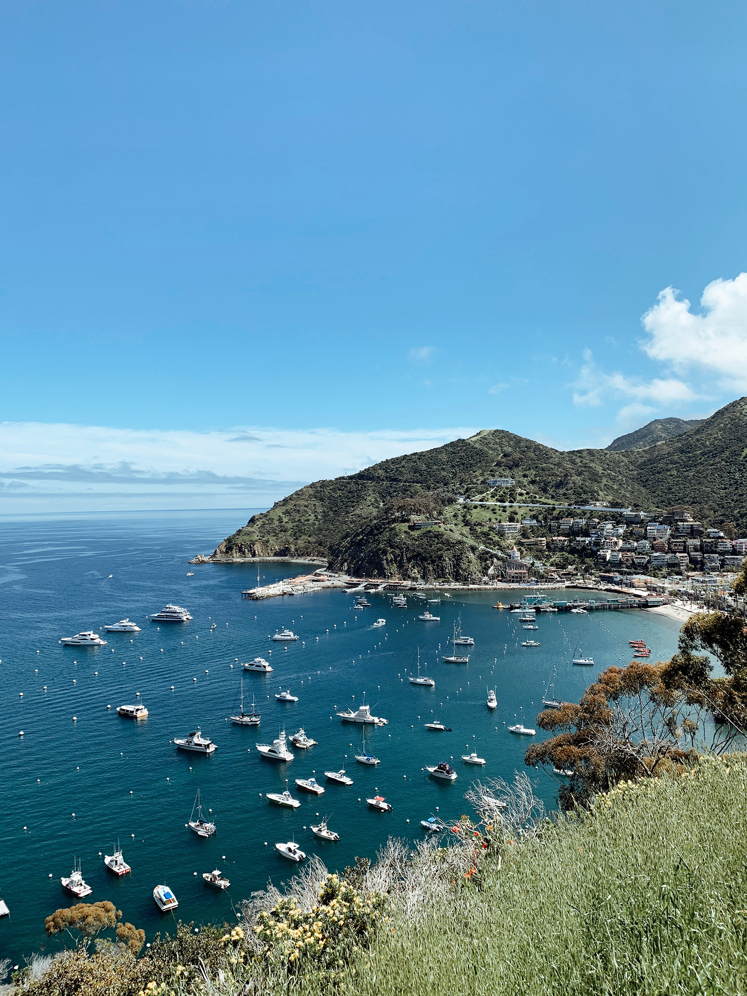 THE GETAWAY GUIDE TO CATALINA ISLAND
