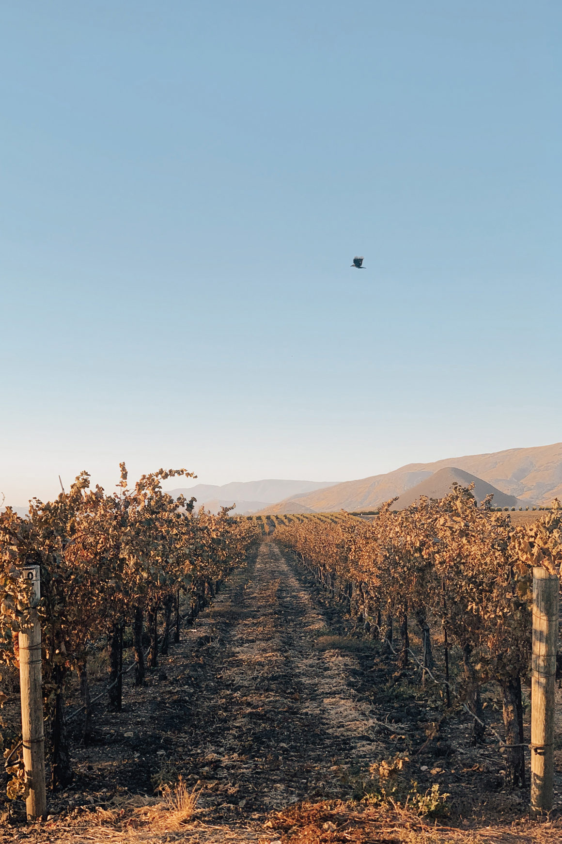 THE GETAWAY GUIDE TO: SAN LUIS OBISPO