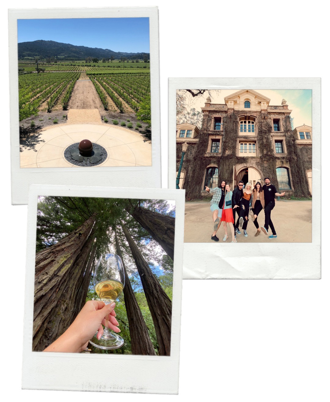 guide to Napa Valley | wine tasting in Napa